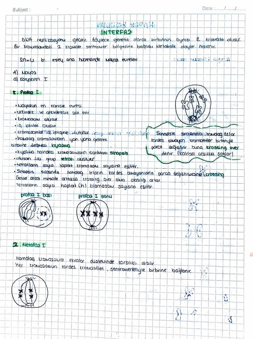 Subject:
Date ...........
Eseyli üreyen canlılarda
60el
bir bölünme
MAYOZ BÖLÜNME
gametlerin (üreme, hücrelerinin) alusumunu sağlayan
mayaz 