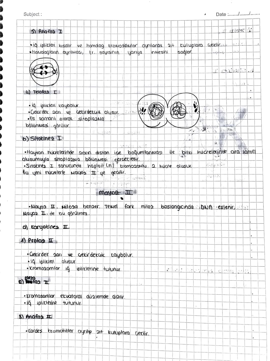 Subject:
Date ...........
Eseyli üreyen canlılarda
60el
bir bölünme
MAYOZ BÖLÜNME
gametlerin (üreme, hücrelerinin) alusumunu sağlayan
mayaz 