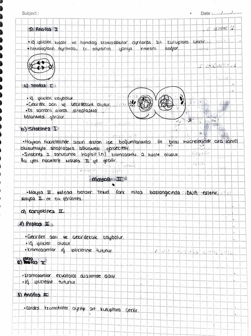 Subject:
Date ...........
Eseyli üreyen canlılarda
60el
bir bölünme
MAYOZ BÖLÜNME
gametlerin (üreme, hücrelerinin) alusumunu sağlayan
mayaz 