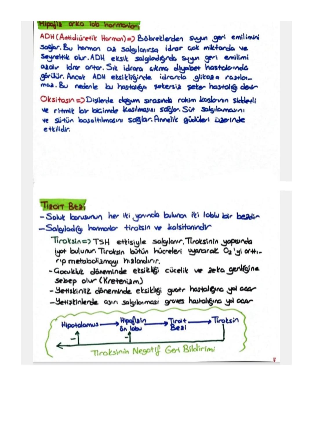 ENDOKRIN SISTEM
Vücuttaki faaliyetlen kontrol eden kimyasal habercilerle (hormon)
Iletisim turan denetleyici ve düzenleyici sisten parçasına