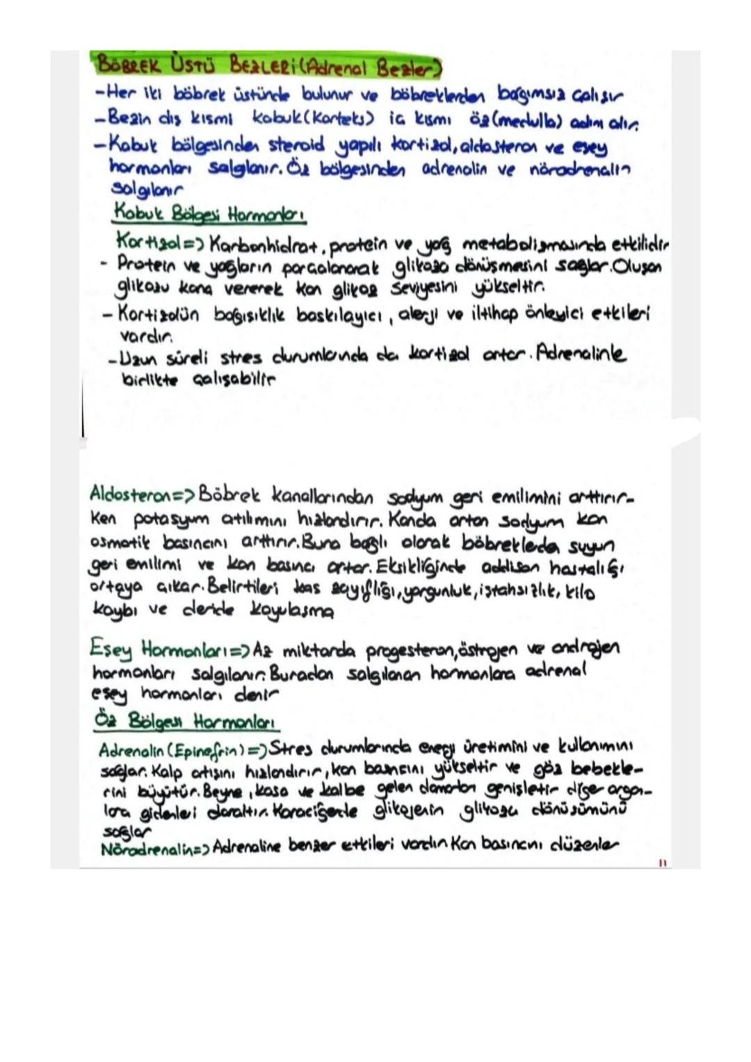ENDOKRIN SISTEM
Vücuttaki faaliyetlen kontrol eden kimyasal habercilerle (hormon)
Iletisim turan denetleyici ve düzenleyici sisten parçasına