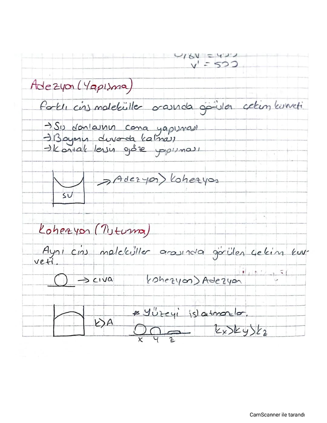 Adezyon ve Kohezyon Örnekleri, Yüzey Gerilimi ve Kılcallık Nedir?