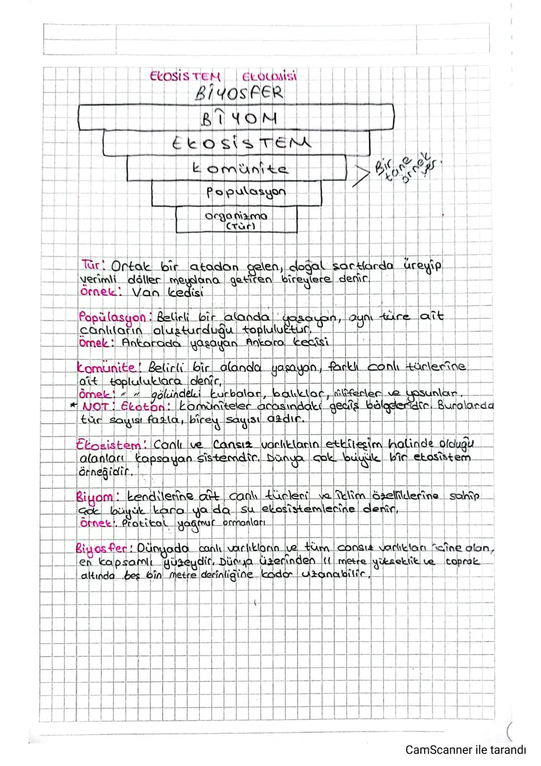 ELOSIS TEM
ELOCOsisi
BiчOSFER
BIYOM
ECOSISTEM
komünite
Populasyon
organizma
(Tür)
Bir
tane
ne
Tur: Ortak bir atadan gelen, doğal sortlarda ü