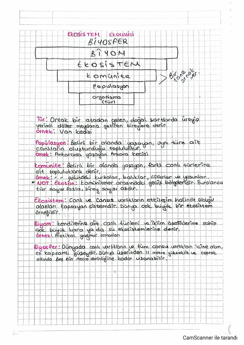 ELOSIS TEM
ELOCOsisi
BiчOSFER
BIYOM
ECOSISTEM
komünite
Populasyon
organizma
(Tür)
Bir
tane
ne
Tur: Ortak bir atadan gelen, doğal sortlarda ü