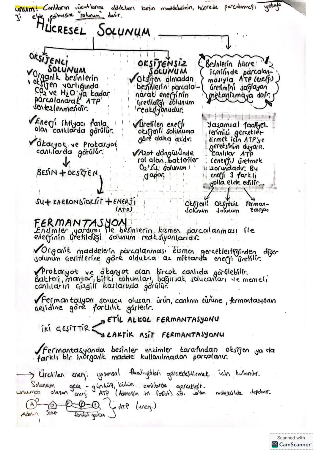 unum! Canlıbrın vücutlarına aldıkları besin moddeldinin, hücrede parçalaması yoluya
Ji elty dimes
elde edimesine "solunun denir."

HLUCRESEL