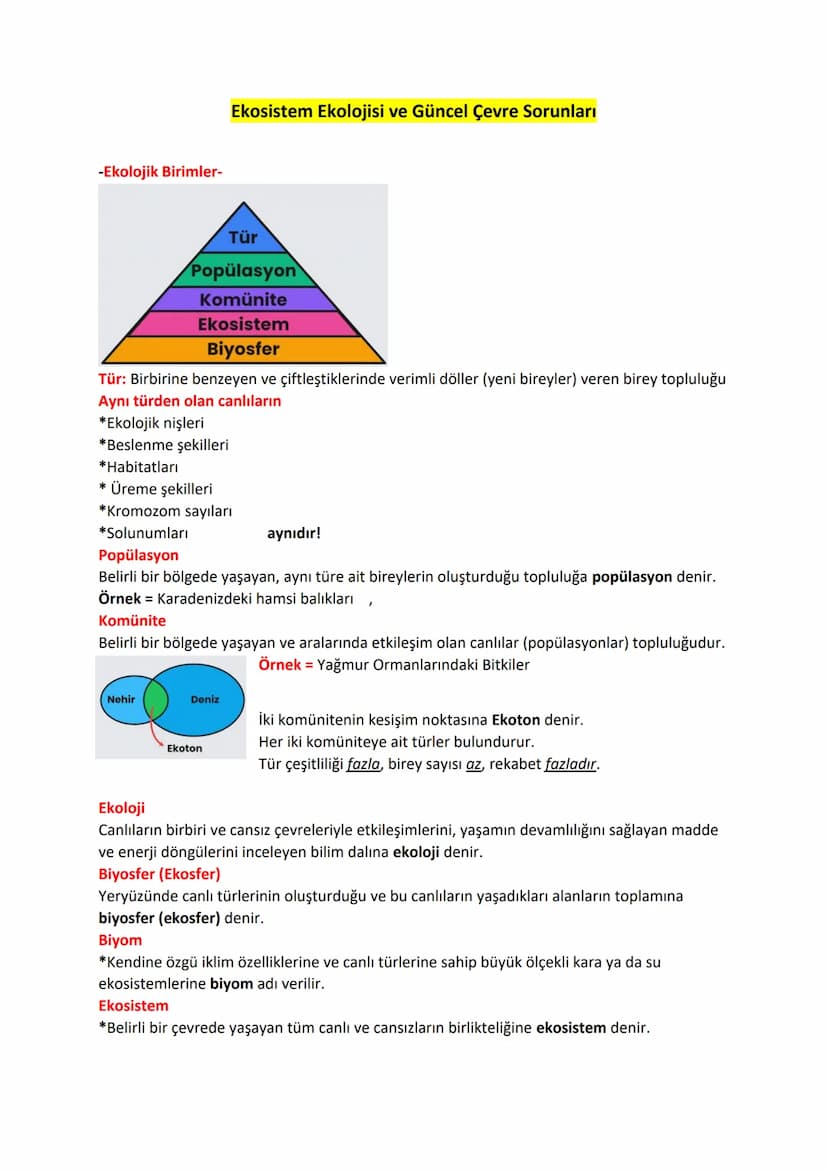 -Ekolojik Birimler-
Ekosistem Ekolojisi ve Güncel Çevre Sorunları
Tür
Popülasyon
Komünite
Ekosistem
Biyosfer
Tür: Birbirine benzeyen ve çift
