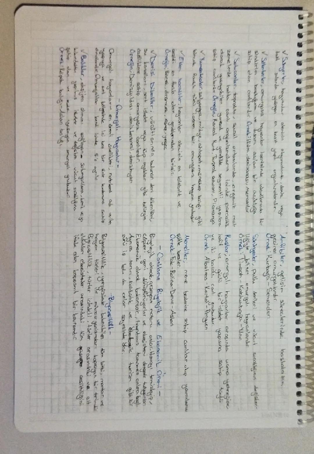 -Biyoloji-

Siniflandırma

Hayvanlar

Şube Kordalılar

Sınıf Memeliler

Aile Kedigiller

Cins Büyük kediler

Tür Kaplan

Domain Sistemi

(Ba