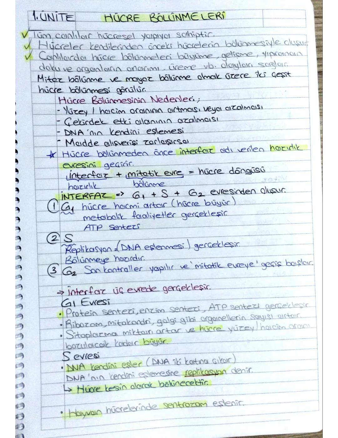 MITOZ-MAYOZ BOLUNME VE ESEYSIZ UREME