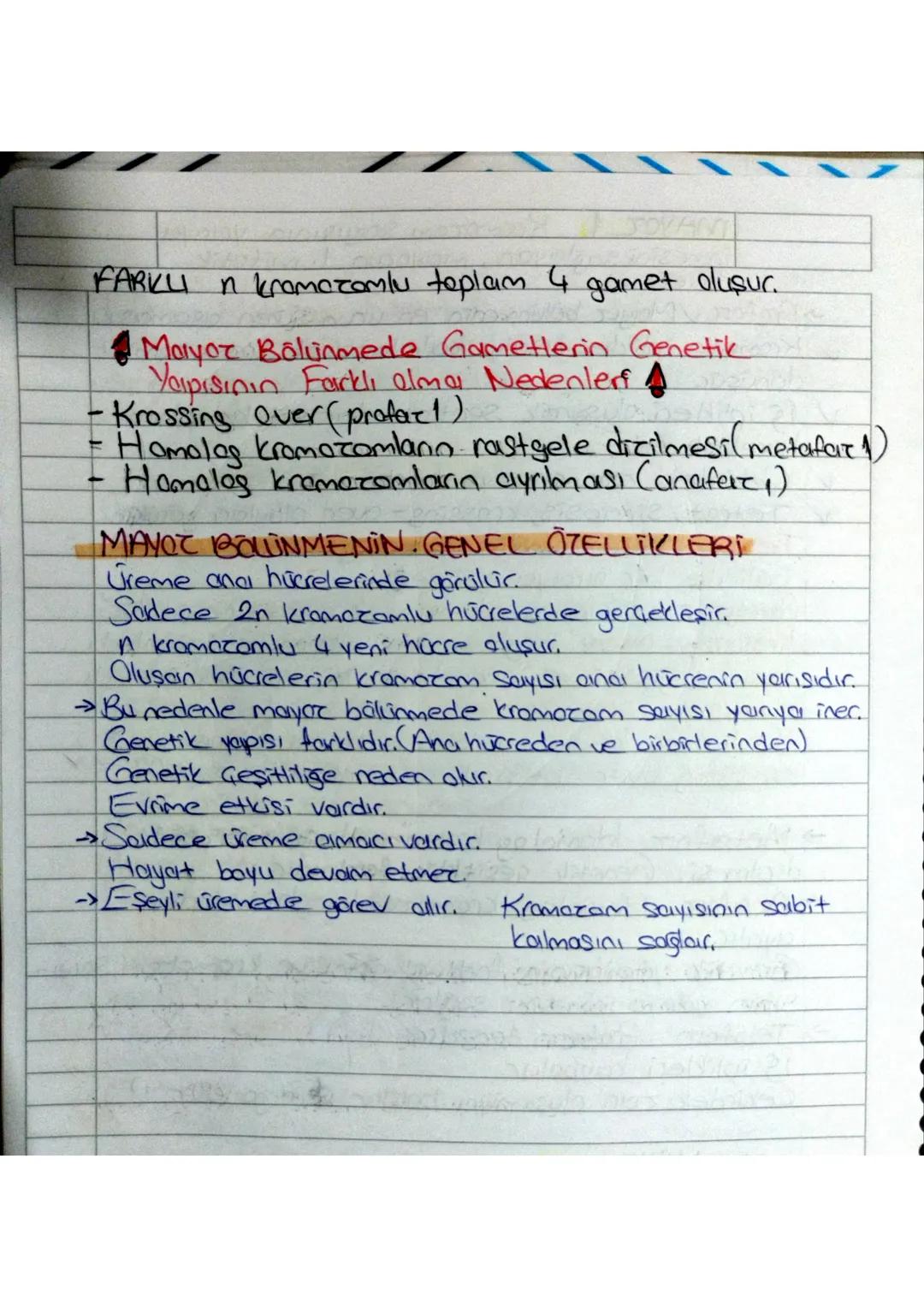 1.UNITE
HÜCRE BOLUNME LERI
Tüm canlılar hücresel yapıya sahiptic.
✓ Hücreler kendilerinden önceki hücrelerin bölünmesiyle oluşur
✓Canlılarda