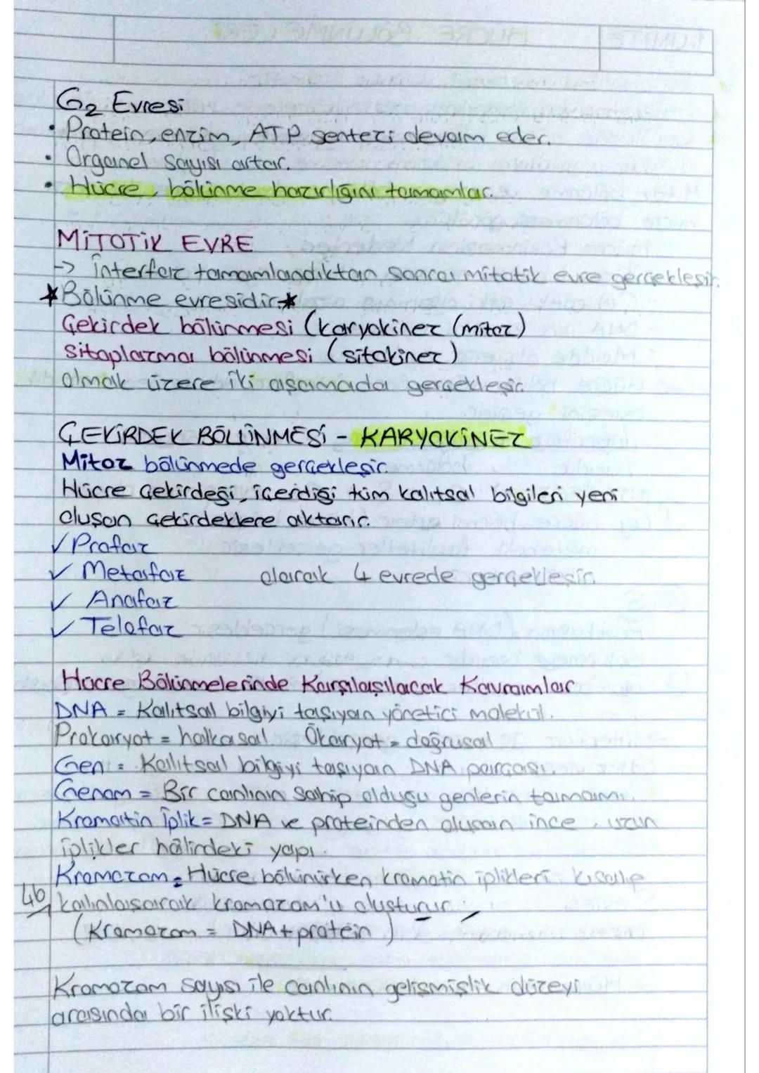 1.UNITE
HÜCRE BOLUNME LERI
Tüm canlılar hücresel yapıya sahiptic.
✓ Hücreler kendilerinden önceki hücrelerin bölünmesiyle oluşur
✓Canlılarda