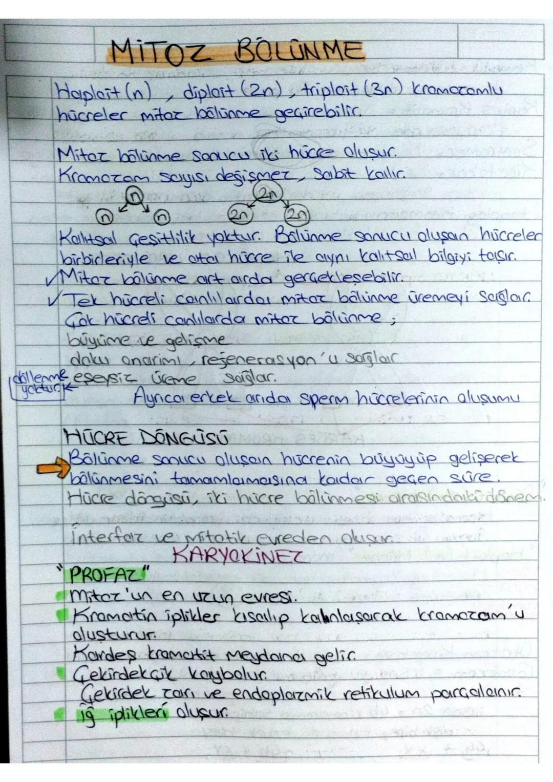 1.UNITE
HÜCRE BOLUNME LERI
Tüm canlılar hücresel yapıya sahiptic.
✓ Hücreler kendilerinden önceki hücrelerin bölünmesiyle oluşur
✓Canlılarda