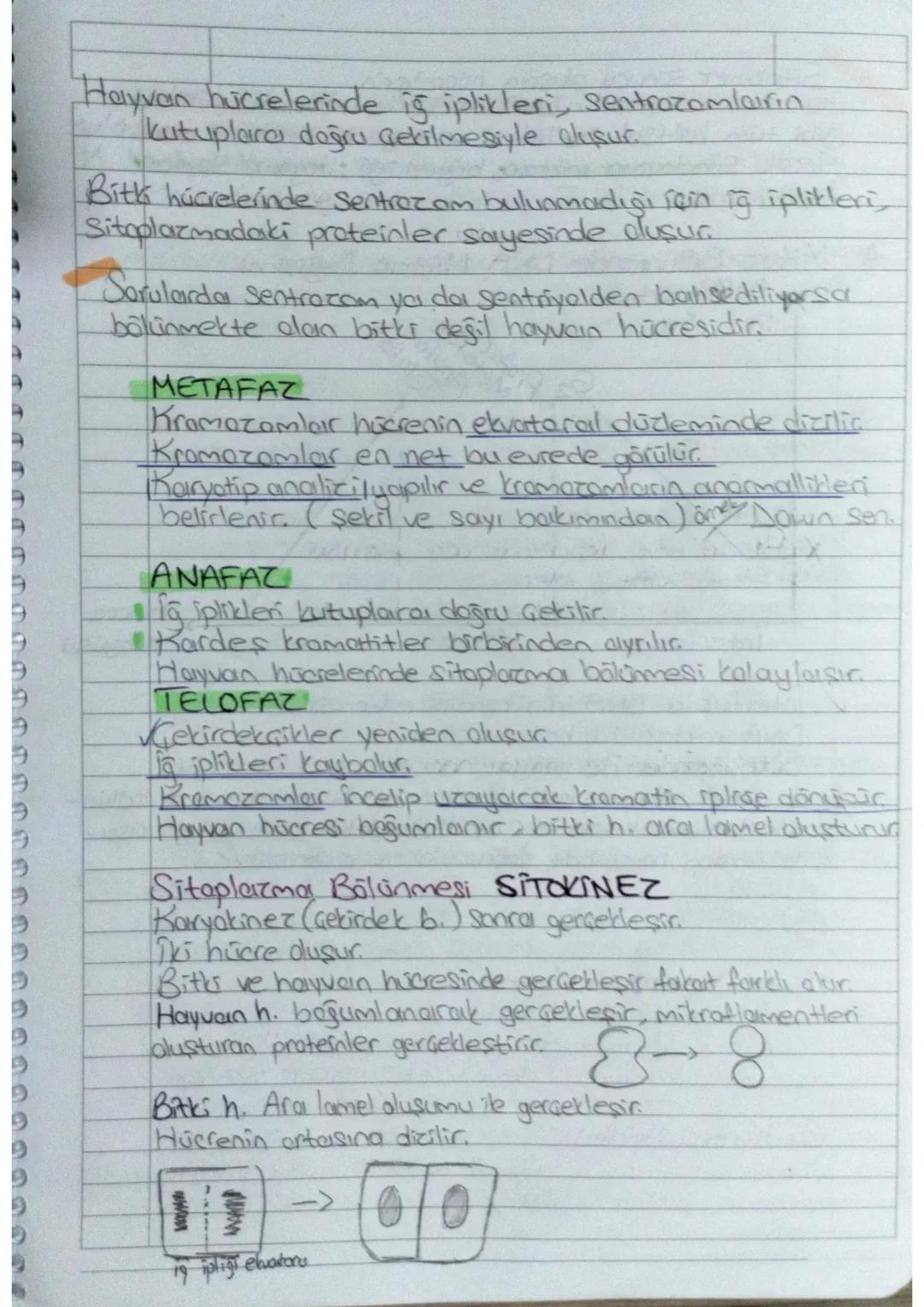1.UNITE
HÜCRE BOLUNME LERI
Tüm canlılar hücresel yapıya sahiptic.
✓ Hücreler kendilerinden önceki hücrelerin bölünmesiyle oluşur
✓Canlılarda