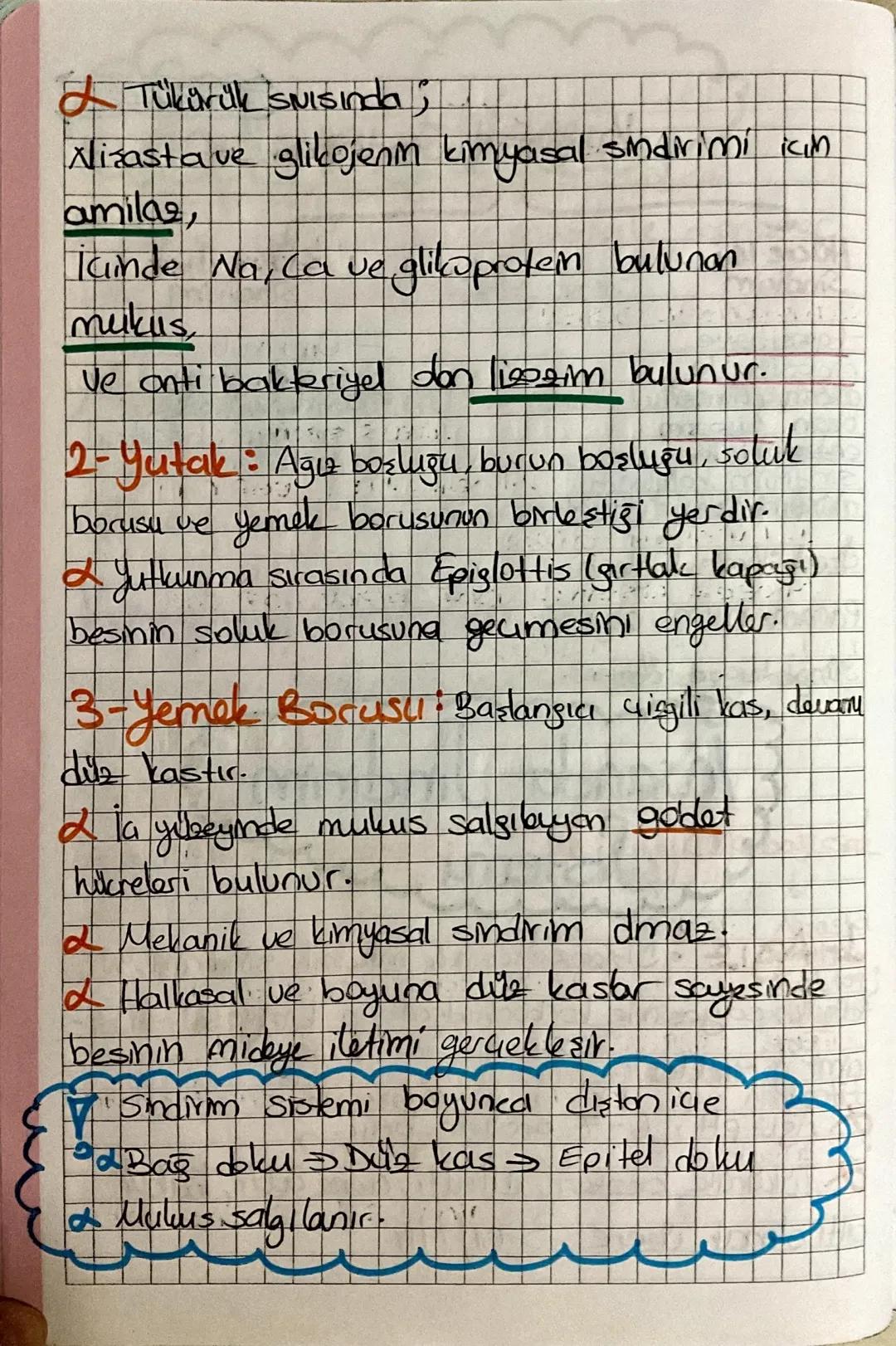 Sindirim Sistemi
Protein
bonhidratin hidrolizi
★Polimer maddelerin suve enzimlerle monomer
lerine parcalanmasina sindirim denir.
Mekanik Sin