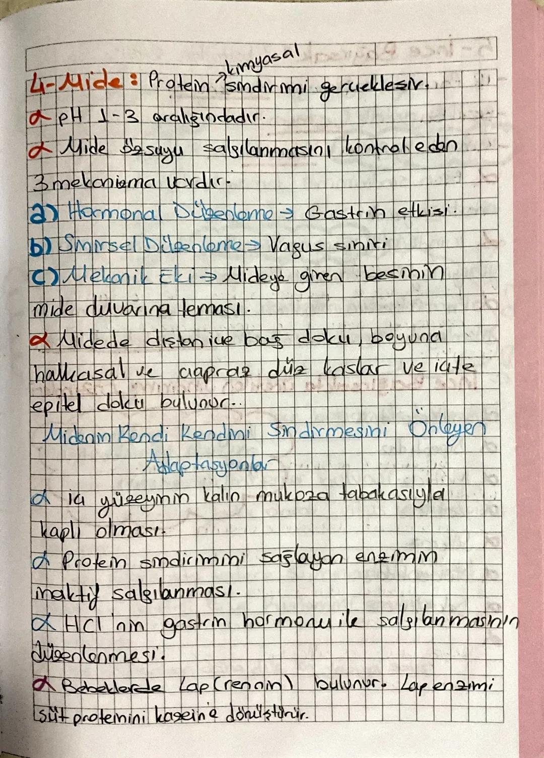Sindirim Sistemi
Protein
bonhidratin hidrolizi
★Polimer maddelerin suve enzimlerle monomer
lerine parcalanmasina sindirim denir.
Mekanik Sin