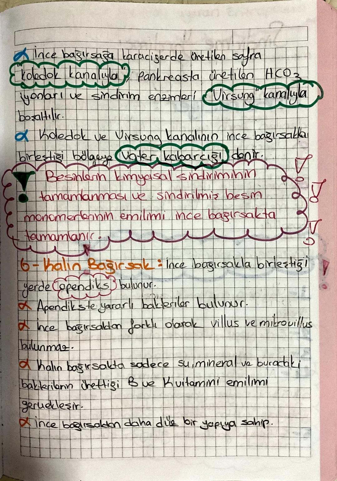 Sindirim Sistemi
Protein
bonhidratin hidrolizi
★Polimer maddelerin suve enzimlerle monomer
lerine parcalanmasina sindirim denir.
Mekanik Sin
