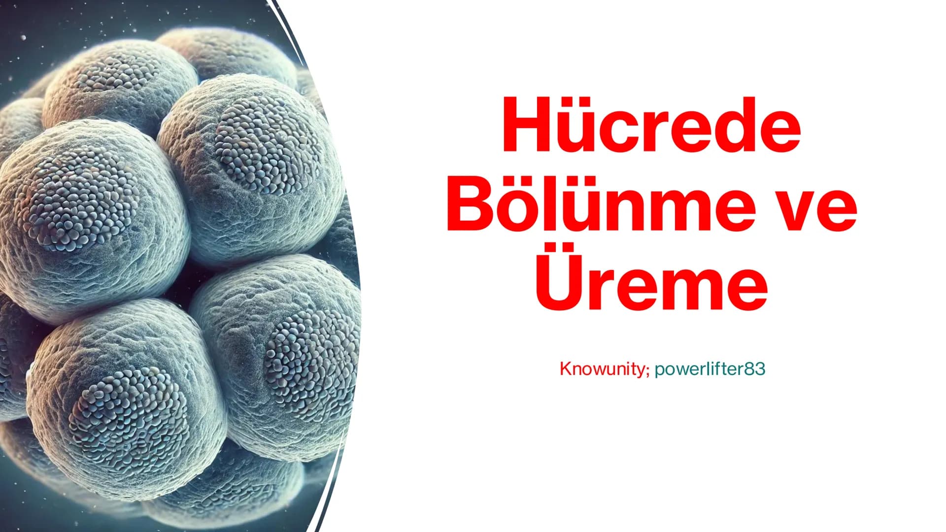 Hücrede
Bölünme ve
Üreme
Knowunity; powerlifter83 Giriş
Canlılar yaşamlarını sürdürebilmek,
büyüyebilmek ve türlerini devam ettirebilmek içi