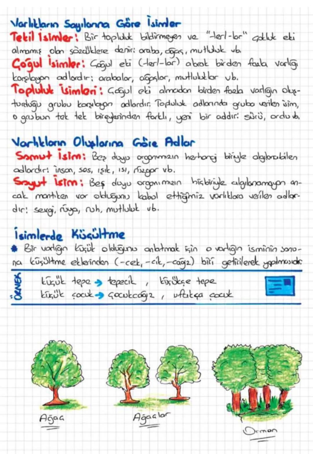 İsim Soylu Sözcükler
-1sim (ad)
Varlıklara Verilişlerine
Gore
• Özel Adlar
• Cins (Tir) Adlari
Varlıkların Sayiloring
Göre
.
.
Tell Adlor
Ço