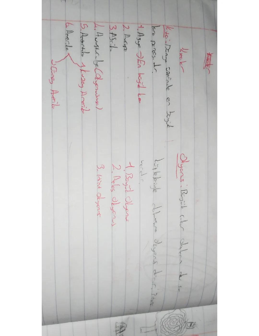 6. Sınıf sosyal kıtalar okyanus