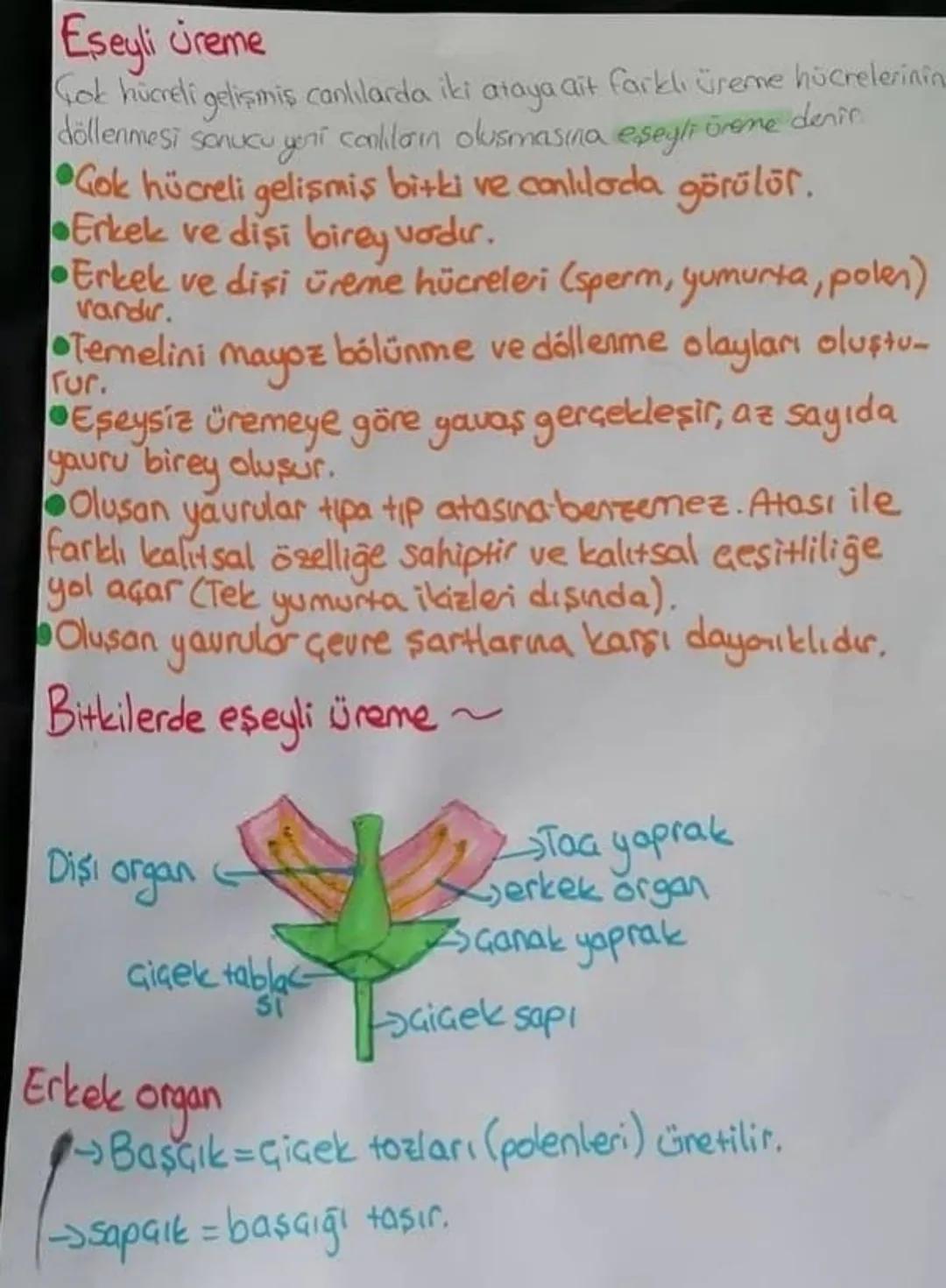 Üreme
Bir canlının neslini devam ettirebilmesi için kendine benzeyen yeni
Canlılar oluşturulmasına Creme veya Gogalma denir. Canlılar için
O