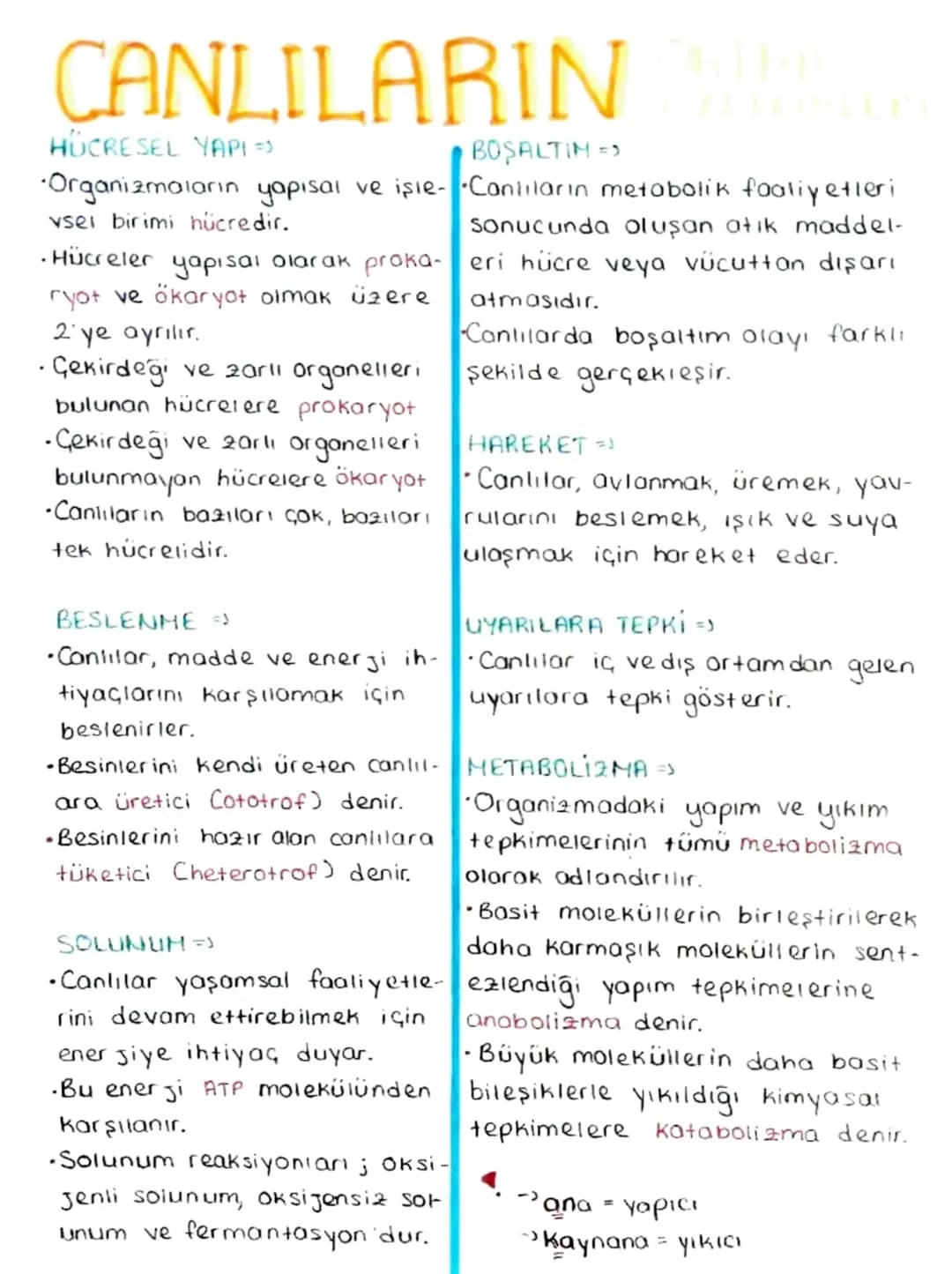.
CANLILARIN
HÜCRESEL YAPI =>
BOŞALTIM =>
•Organizmaların yapısal ve işle- Canlıların metabolik faaliyetleri
vsel birimi hücredir.
•Hücreler