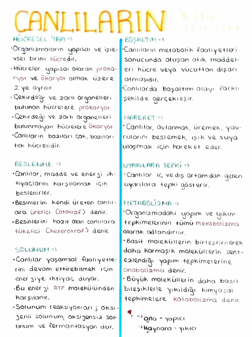 .
CANLILARIN
HÜCRESEL YAPI =>
BOŞALTIM =>
•Organizmaların yapısal ve işle- Canlıların metabolik faaliyetleri
vsel birimi hücredir.
•Hücreler