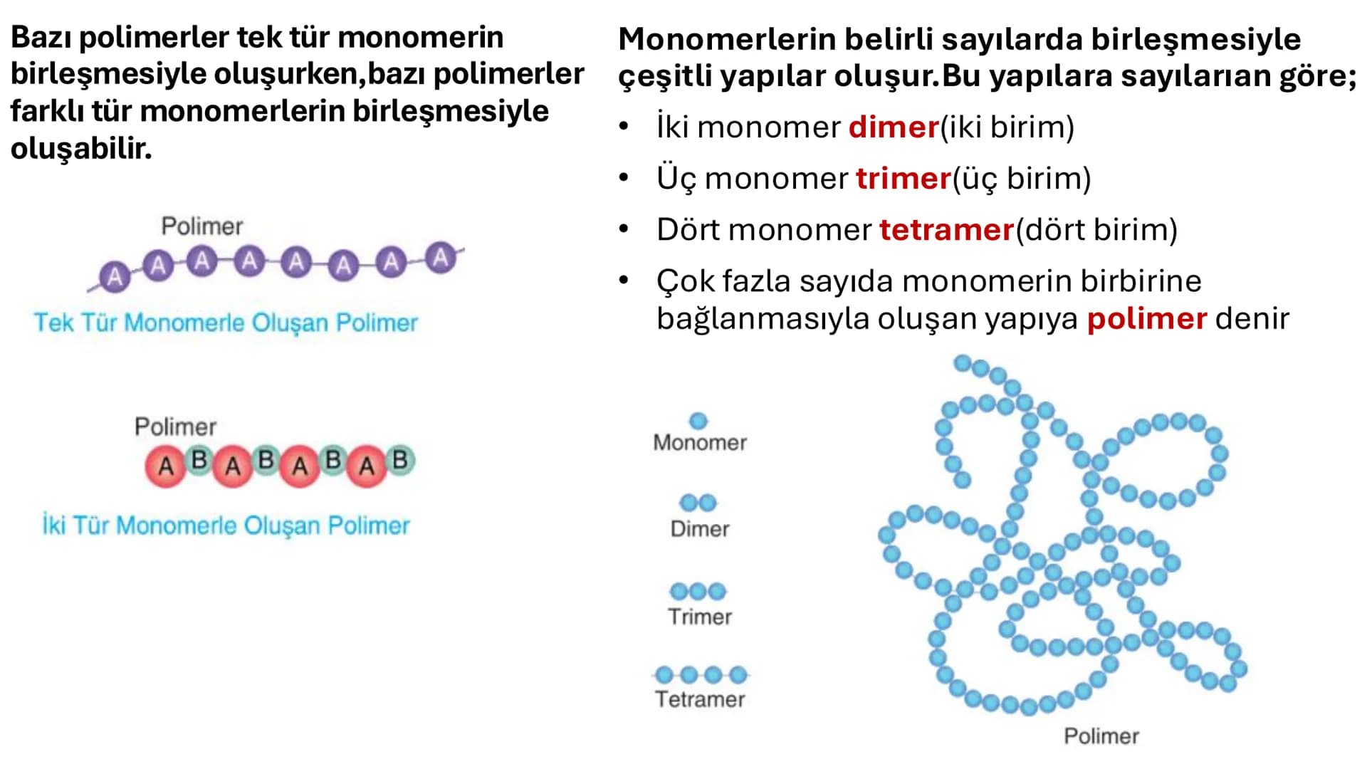 POLİMER:Polimerlerin en küçük birimi monomerdir. Monomerler, birbirine kovalent bağlarla bağlanarak
büyür ve polimerleri oluşturur. Monomerl