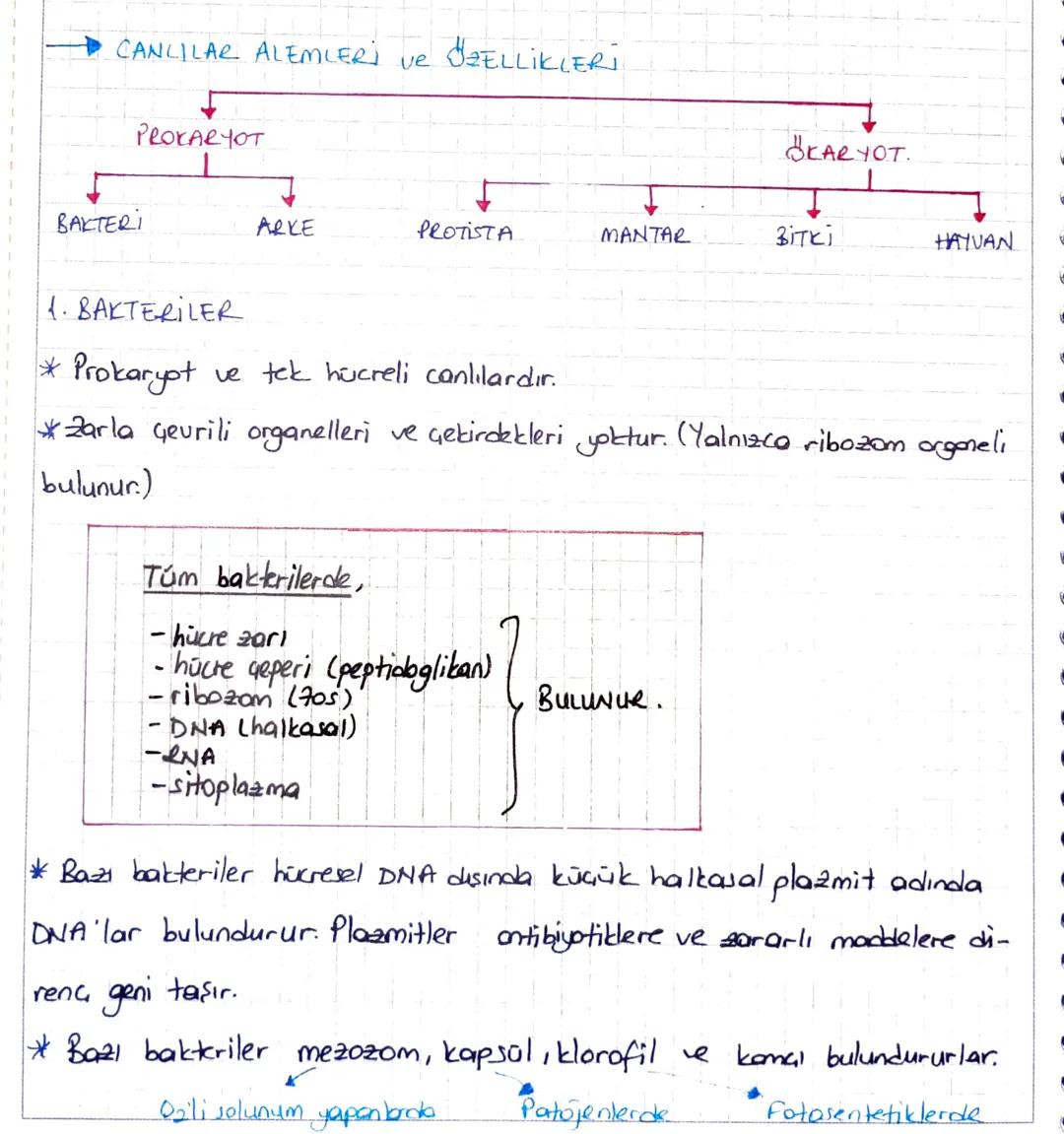 CANLILAR ALEMLERİ
ve
ÖZELLİKLERİ
BAKTERI
PROKARYOT
1. BAKTERİLER
KARYOT
ARKE
PROTISTA
MANTAR
Зіткі
HAYVAN
* Prokaryot
ve tek hücreli canlıla