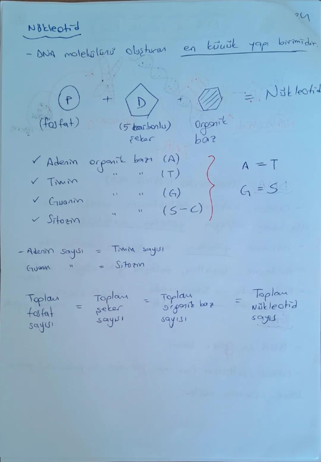 # DNA ve Genetik Kod

```


```

Nükleotid

```

Gen

```

DNA

```

Kromozom

```

Hücre

```

## DNA (Deoksiribo Nükleik Asit)

- Canlılar