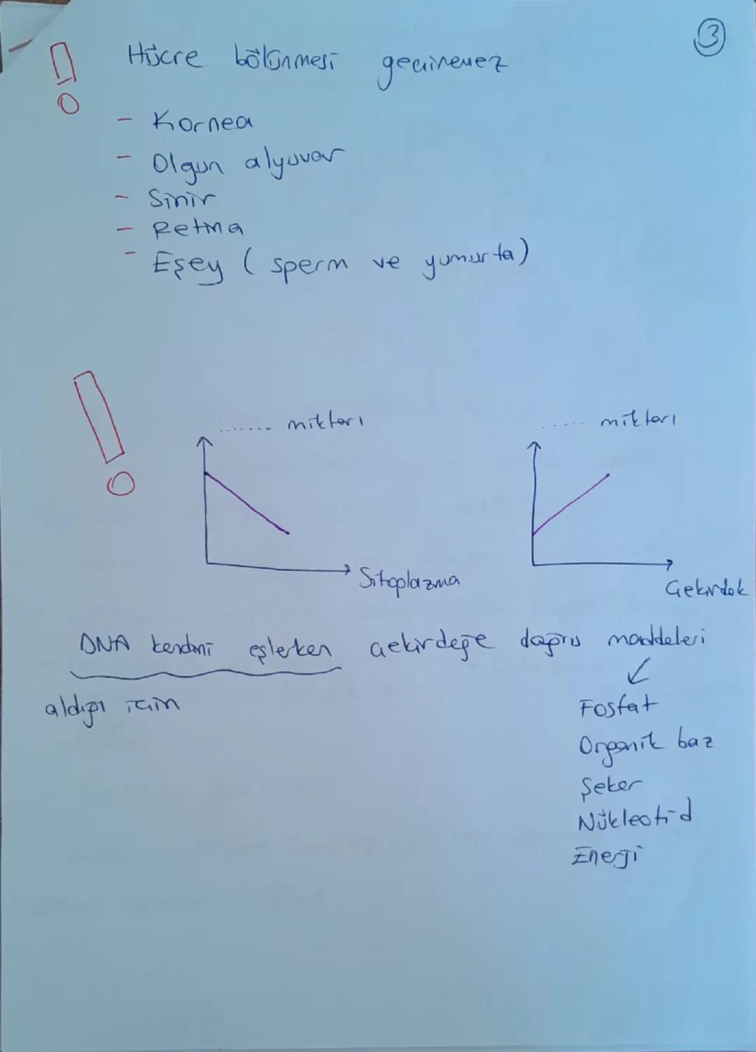 # DNA ve Genetik Kod

```


```

Nükleotid

```

Gen

```

DNA

```

Kromozom

```

Hücre

```

## DNA (Deoksiribo Nükleik Asit)

- Canlılar