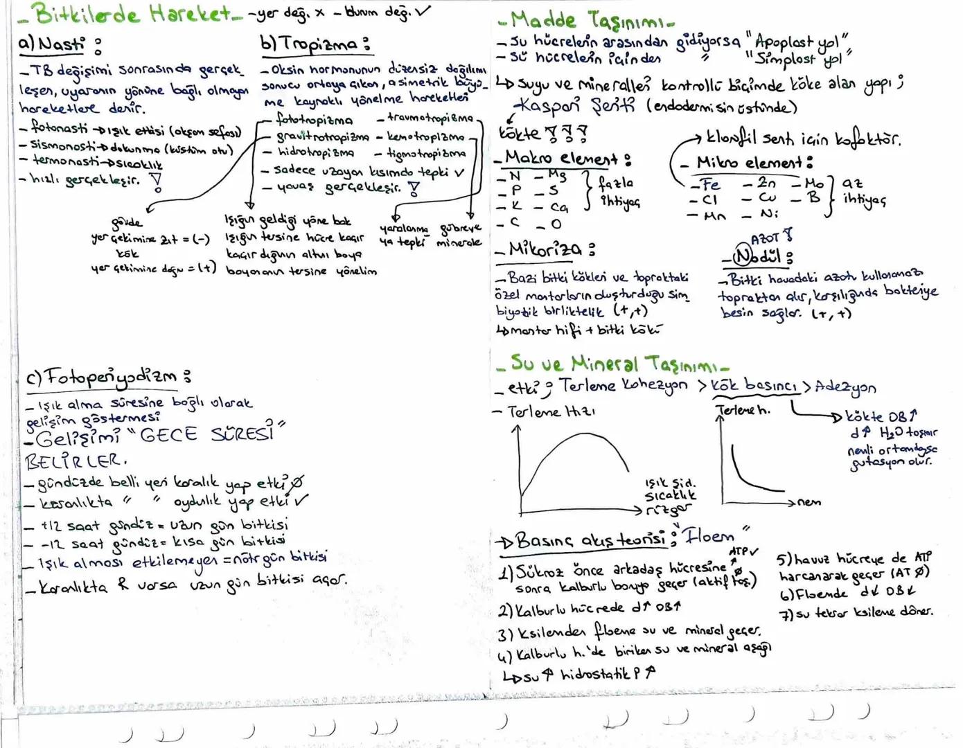 -Bitki- $\rightarrow$ kök kök sisten & hormon Oretir / bir organ / begini süngün sistender
karşılar,
Bitki gövde, çiçek, Yaprak, meque } sür