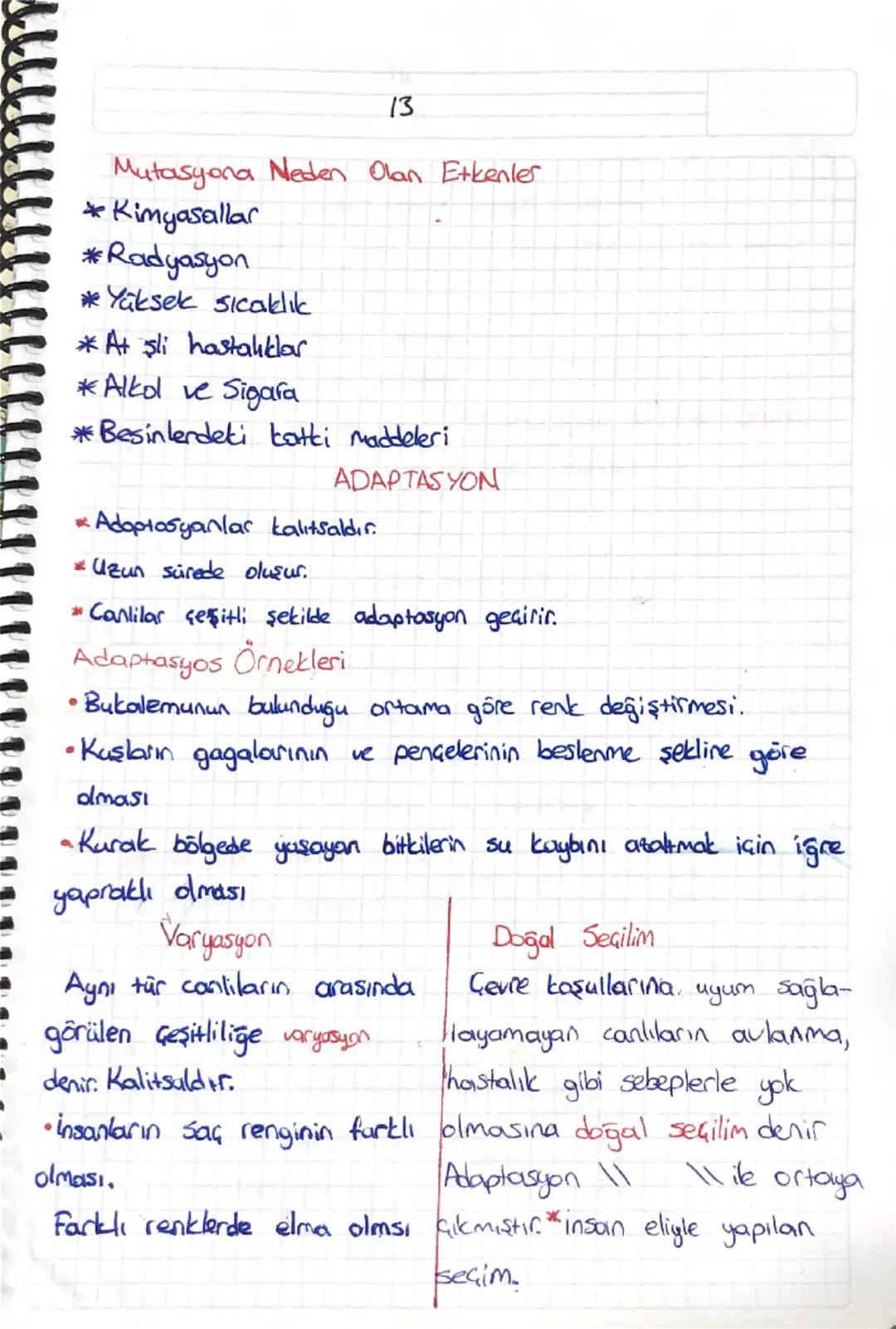 13

Mutasyona Neden Olan Etkenler
* Kimyasallar
*Radyasyon
*Yüksek sıcaklık
* At şli hastalıklar
*Alkol ve Sigara
*Besinlerdeki katki maddel