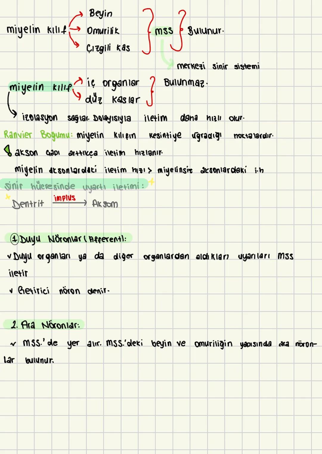  # SİNİR SİSTEMİ

• Sinir sistemi sinir dokulardan oluşur.
Sinir sistemi nucrelerden meydana gelir.
• Sinir dokularına nöron denir.
Sinir hü