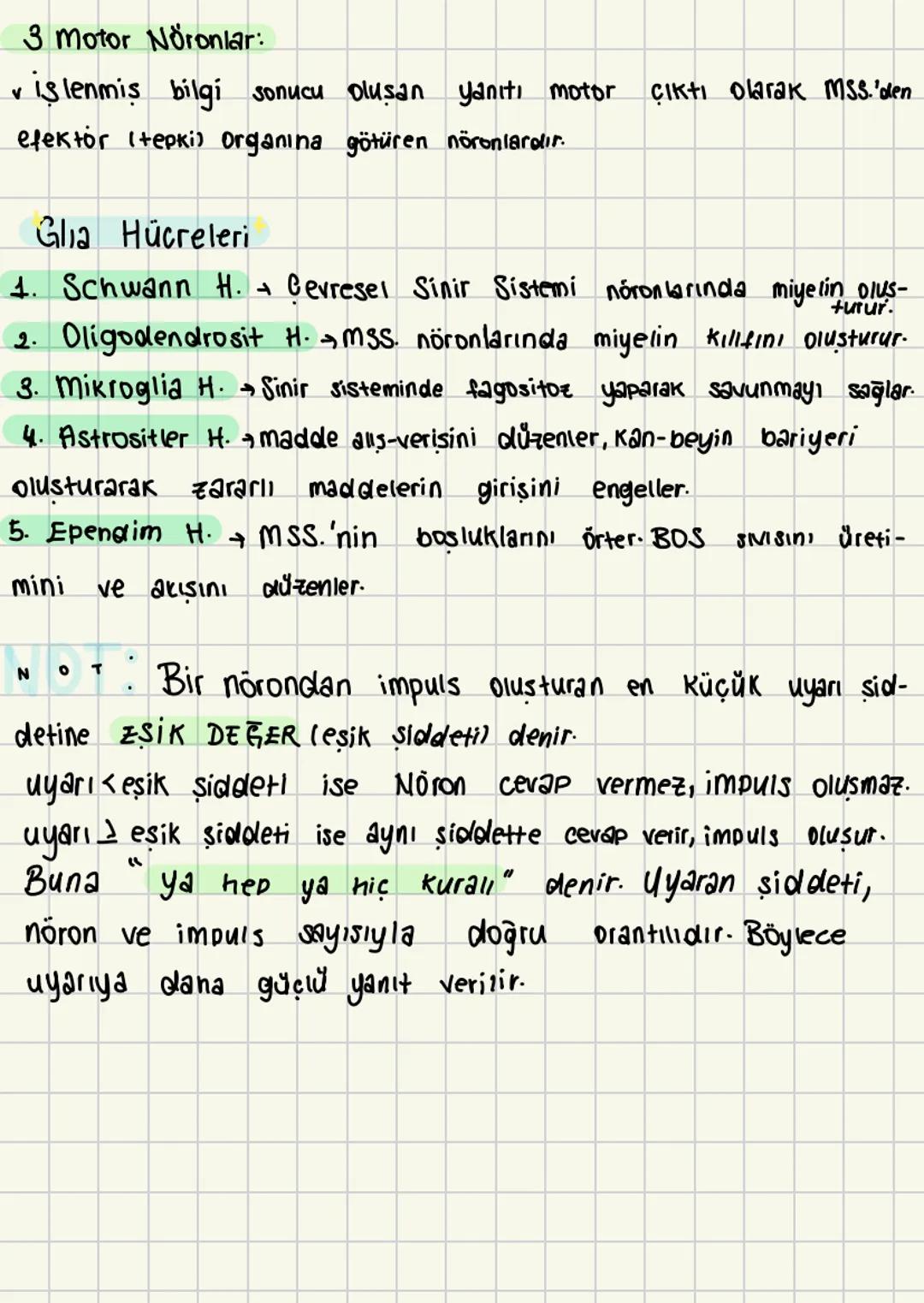  # SİNİR SİSTEMİ

• Sinir sistemi sinir dokulardan oluşur.
Sinir sistemi nucrelerden meydana gelir.
• Sinir dokularına nöron denir.
Sinir hü