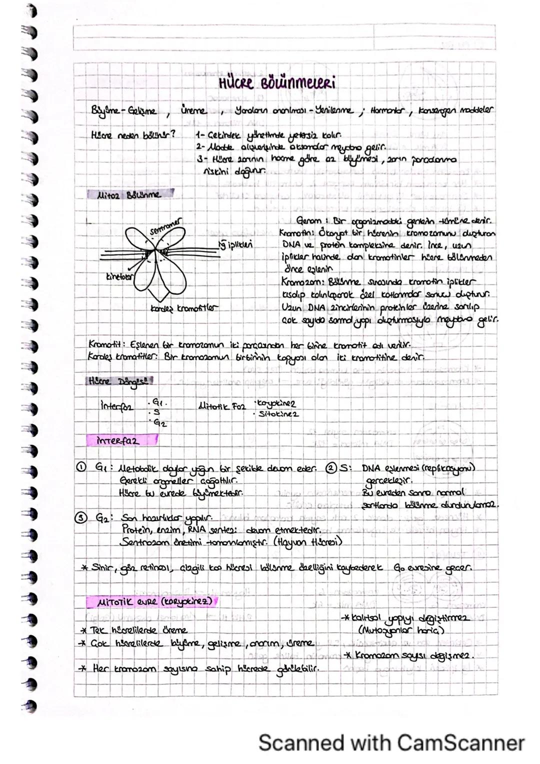 Hücke Rözün
Byme-Gelişme
Creme
7
'
Hücre neden bölner?
Mito2 Bushme
Bölünmeleri
Yanaların onarılması - Yenilenme ; Hormontor, konserojen mad