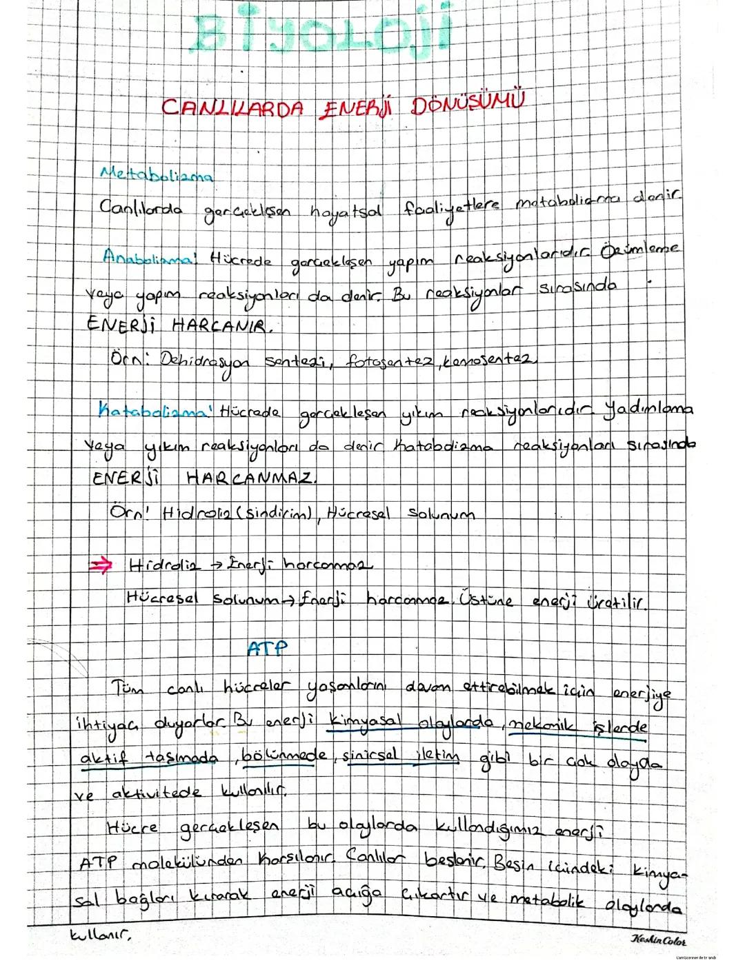 Biyoloji Canlılarda Enerji Dönüşümleri 