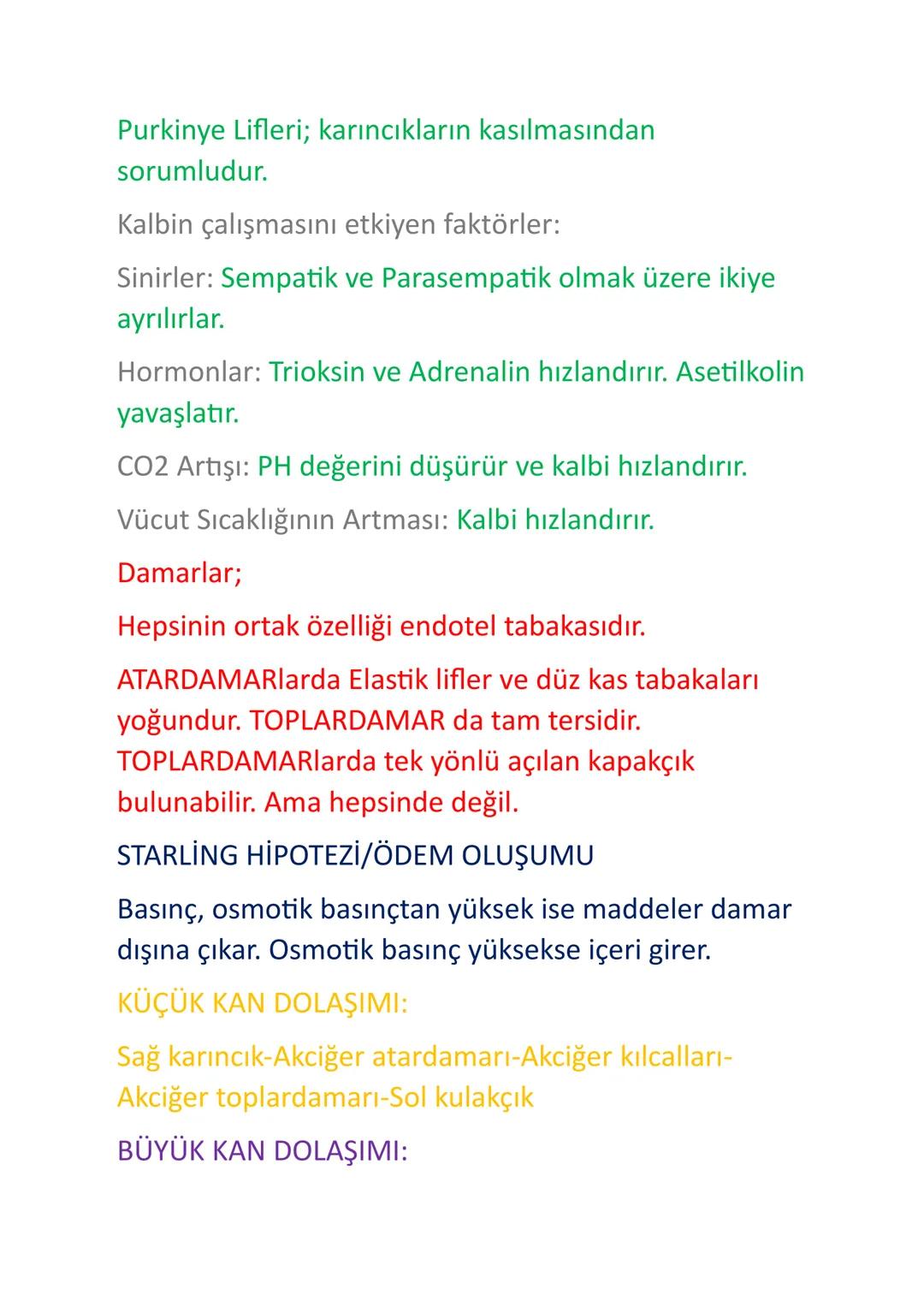 AYT BİYOLOJİ DOLAŞIM VE BAĞIŞIKLIK SİSTEMİ;
Üst ana toplardamar
Sağ akciğer
atardamarlan
Sağ akciğer
toplardamarlan
Sağ kulakçık
Aort
Sol ak