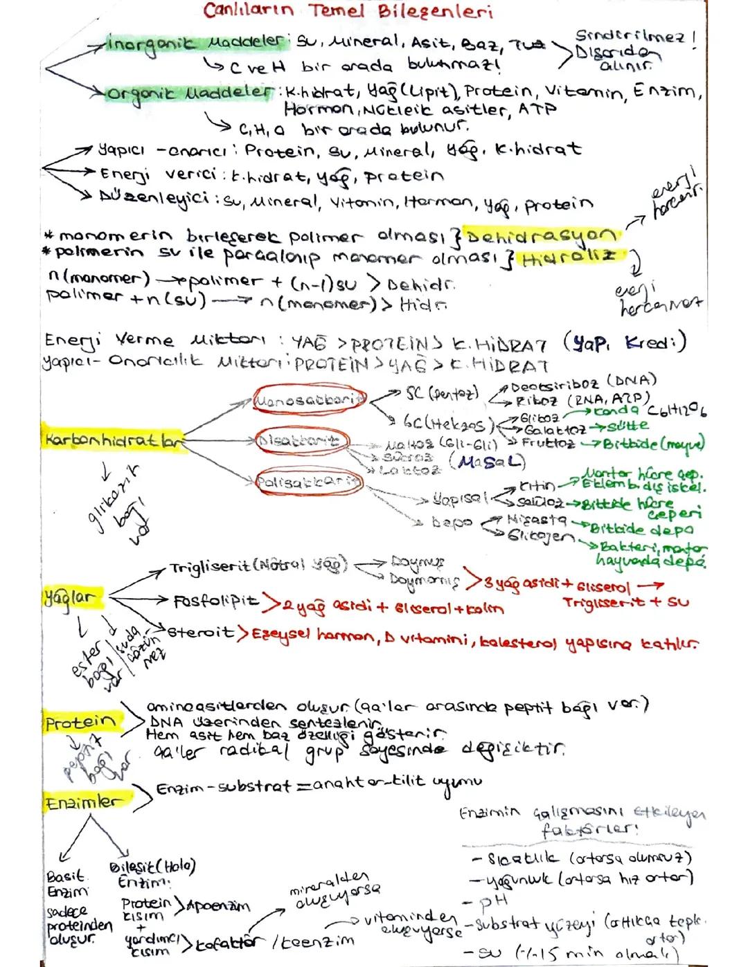 TYT BİYOLOJİ CANLILARIN TEMEL BİLEŞENLERİ