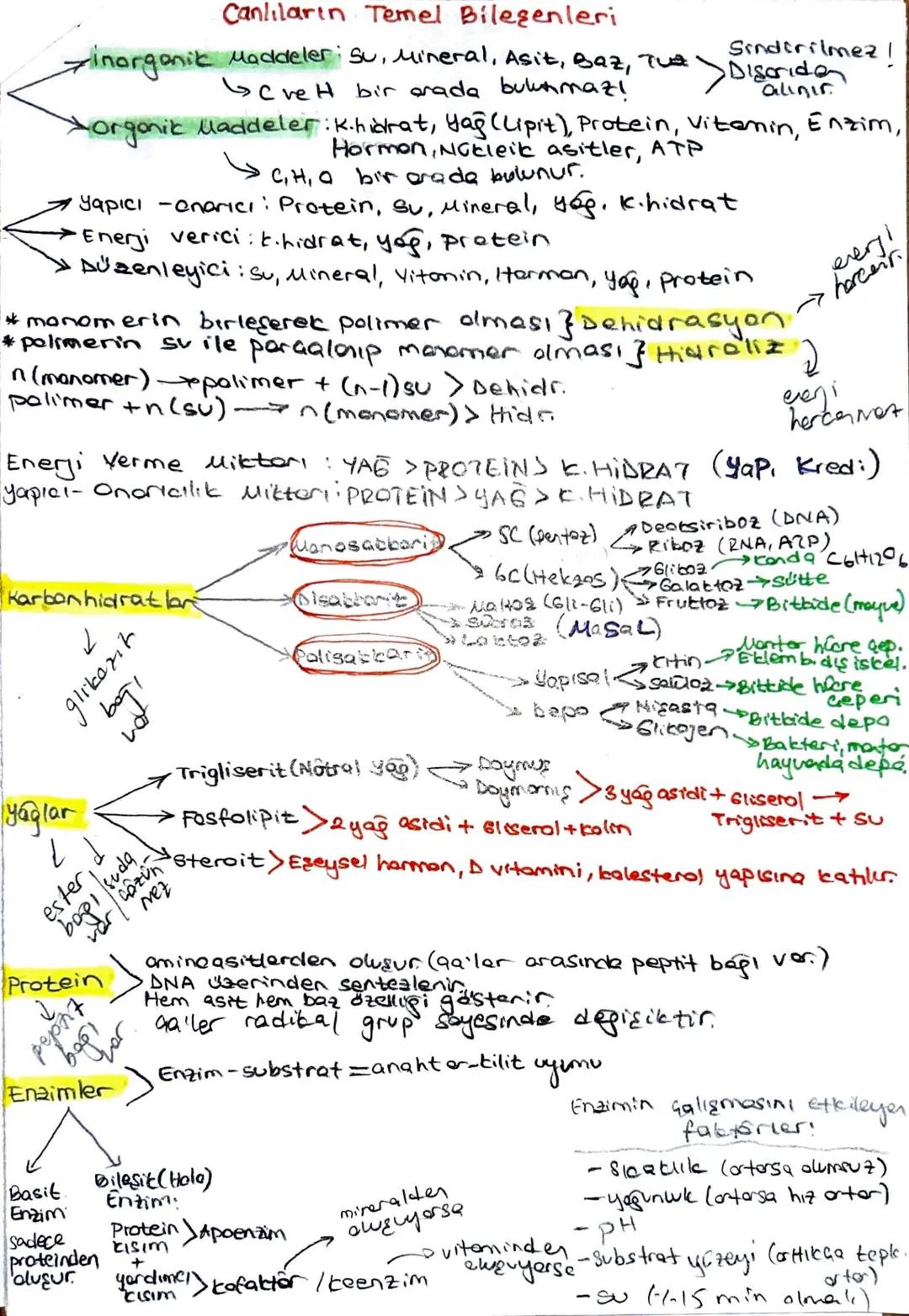 Canlıların Temel Bileşenleri
inorganik Maddeler; Su, Mineral, Asit, Baz, Tue
cvet bir arada bulunmazi
Sindirilmez |
Discrida
alınır.
Xorgoni