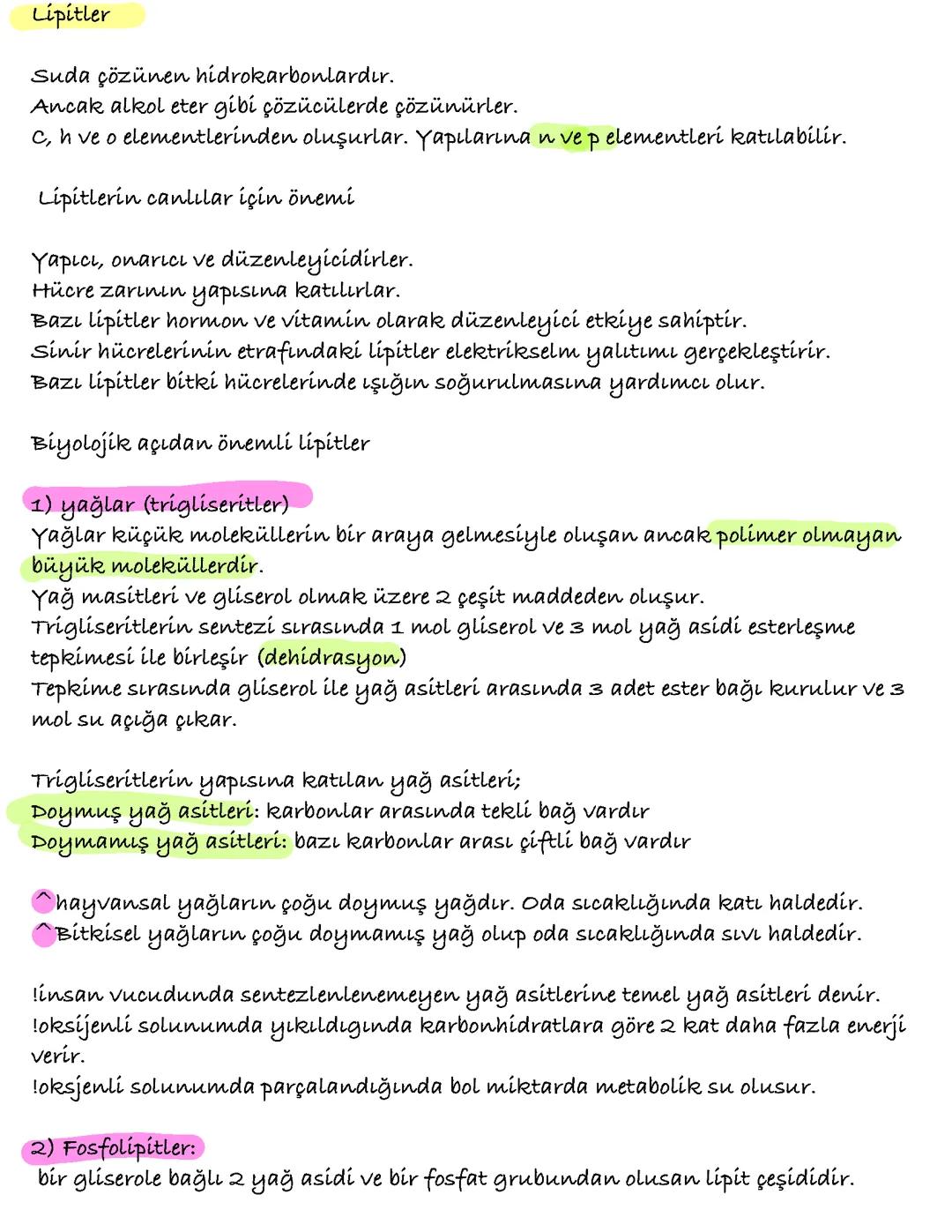 Organik Bileşikler : Lipitler