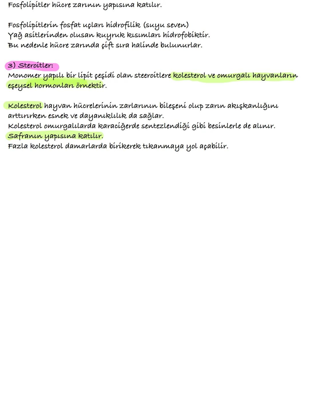 Lipitler
Suda çözünen hidrokarbonlardır.
Ancak alkol eter gibi çözücülerde çözünürler.
c, h ve o elementlerinden oluşurlar. Yapılarına n ve 