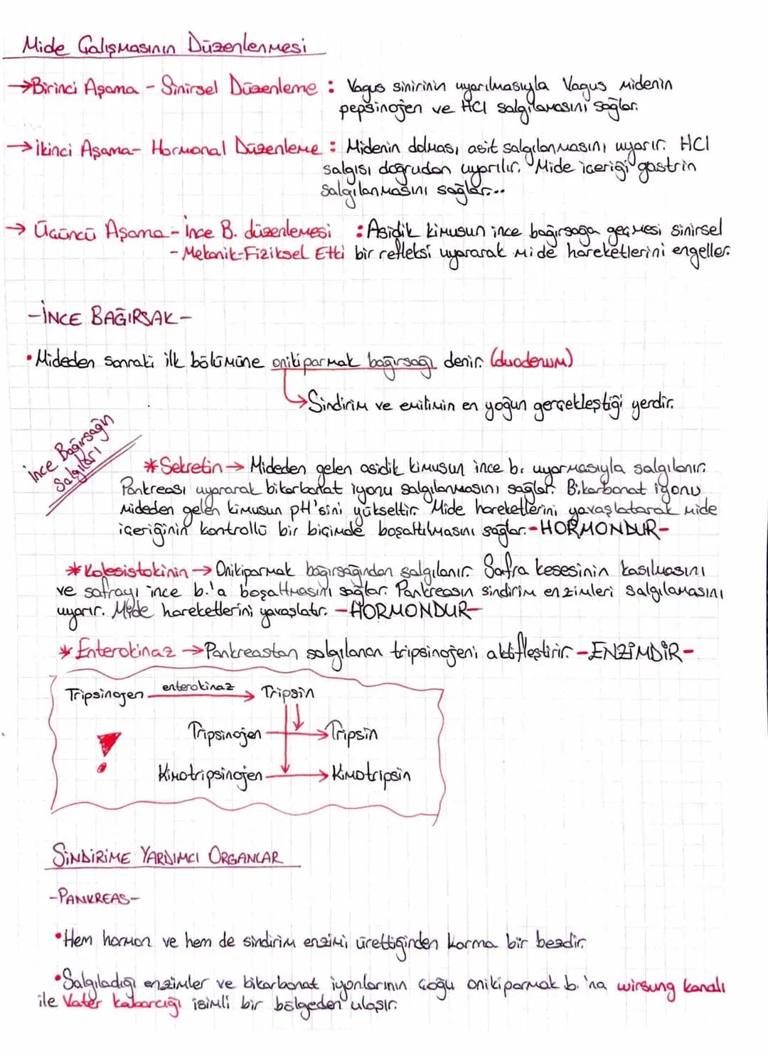 Sindirim Geşitleri
SİNDİRİM SİSTEMİ
→Mekanik Sindirim: Besinlerin fiziksel olarak parçalanmasıdır. Inziu kullanılmaz.
→
(agiz) mide ince b.
