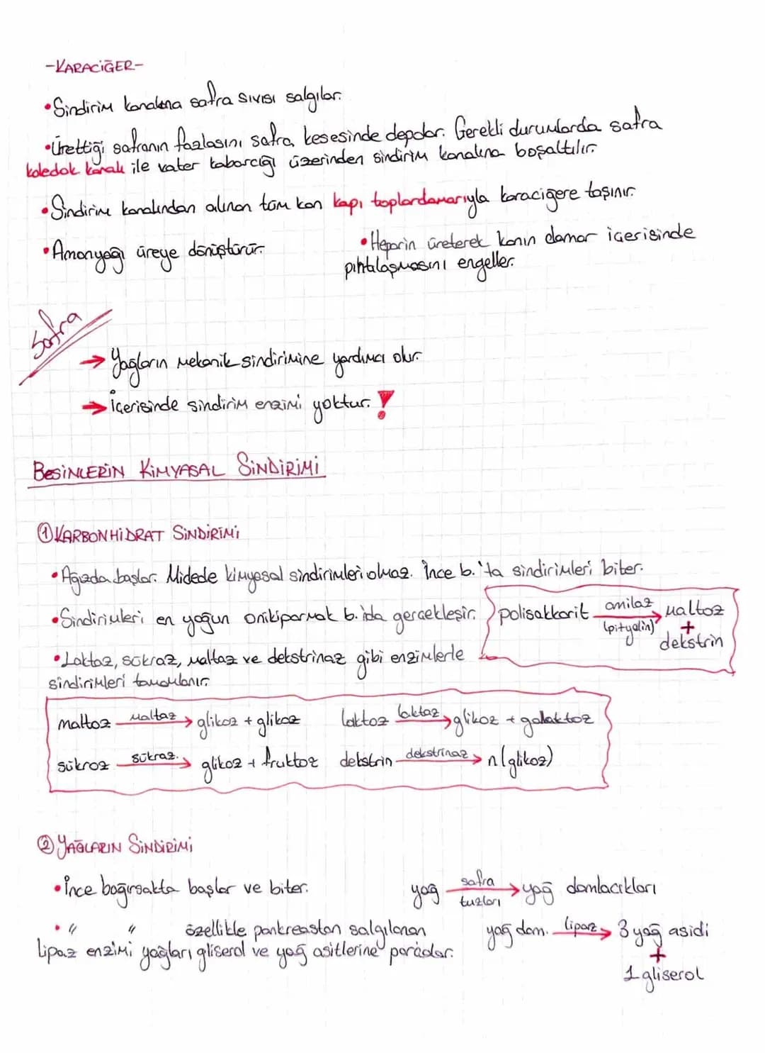 Sindirim Geşitleri
SİNDİRİM SİSTEMİ
→Mekanik Sindirim: Besinlerin fiziksel olarak parçalanmasıdır. Inziu kullanılmaz.
→
(agiz) mide ince b.
