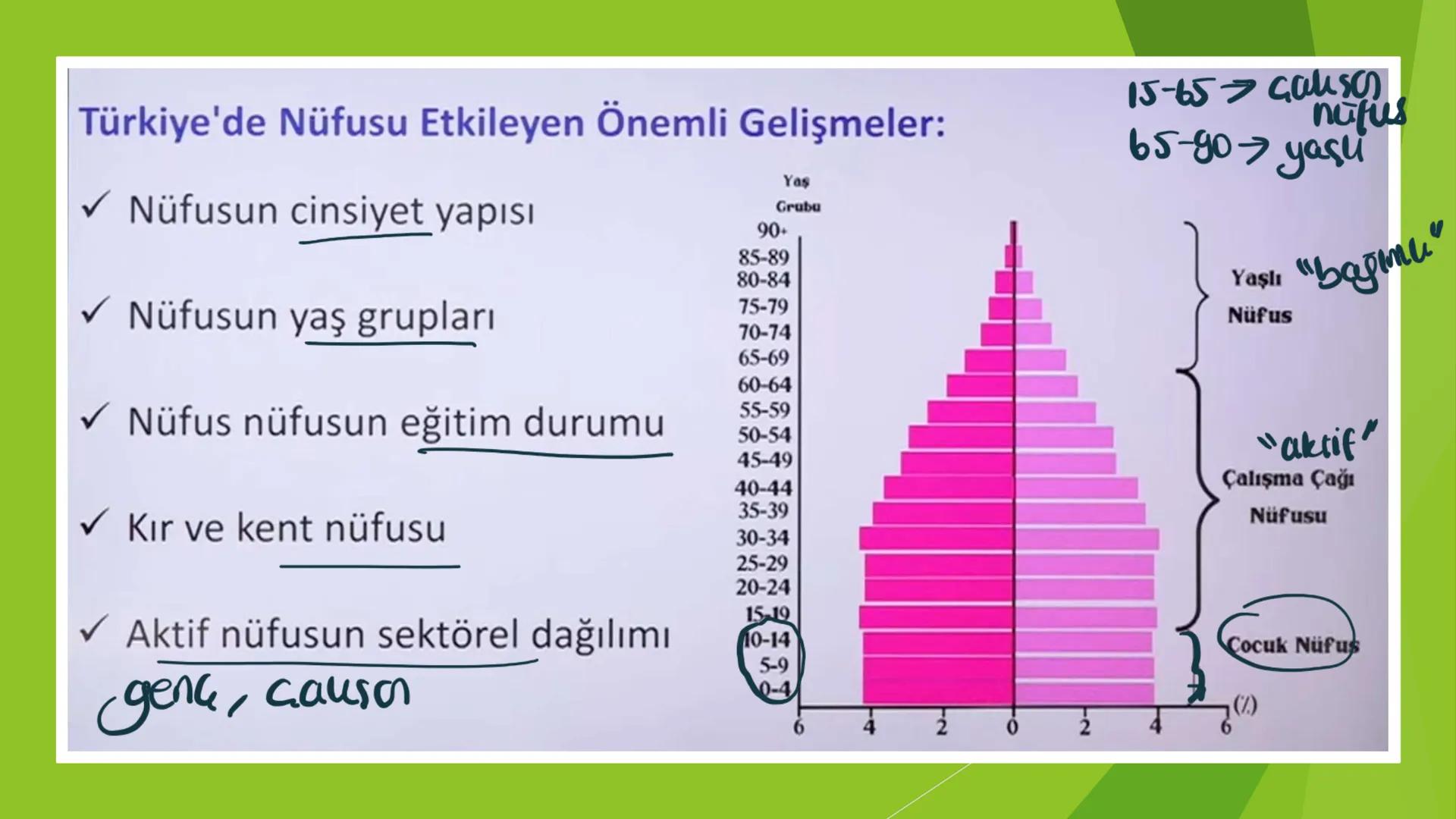 TÜRKİYE'DE NÜFUS Sınırları belli bir alanda belli bir zaman diliminde yaşayan insan sayısına nüfus
denir.
▸ Demografik Yatırımlar: Nüfusa ya