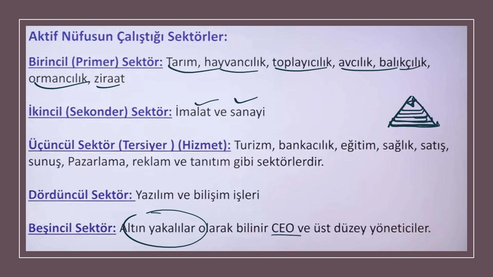 TÜRKİYE'DE NÜFUS Sınırları belli bir alanda belli bir zaman diliminde yaşayan insan sayısına nüfus
denir.
▸ Demografik Yatırımlar: Nüfusa ya