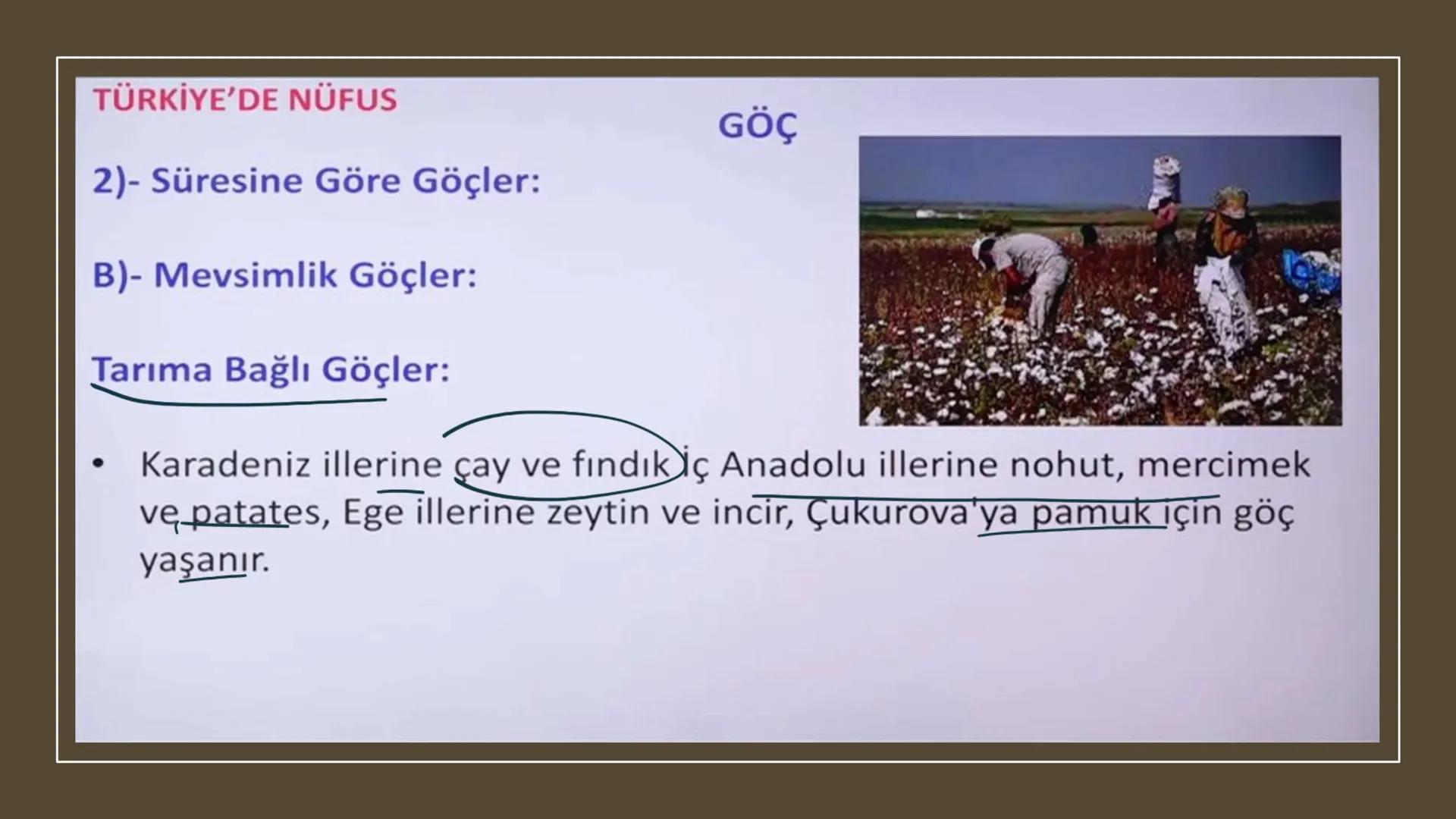 TÜRKİYE'DE NÜFUS Sınırları belli bir alanda belli bir zaman diliminde yaşayan insan sayısına nüfus
denir.
▸ Demografik Yatırımlar: Nüfusa ya