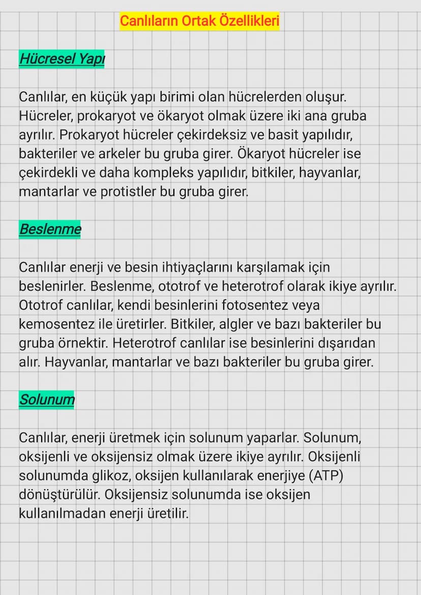 Hücresel Yapı
Canlıların Ortak Özellikleri
Canlılar, en küçük yapı birimi olan hücrelerden oluşur.
Hücreler, prokaryot ve ökaryot olmak üzer