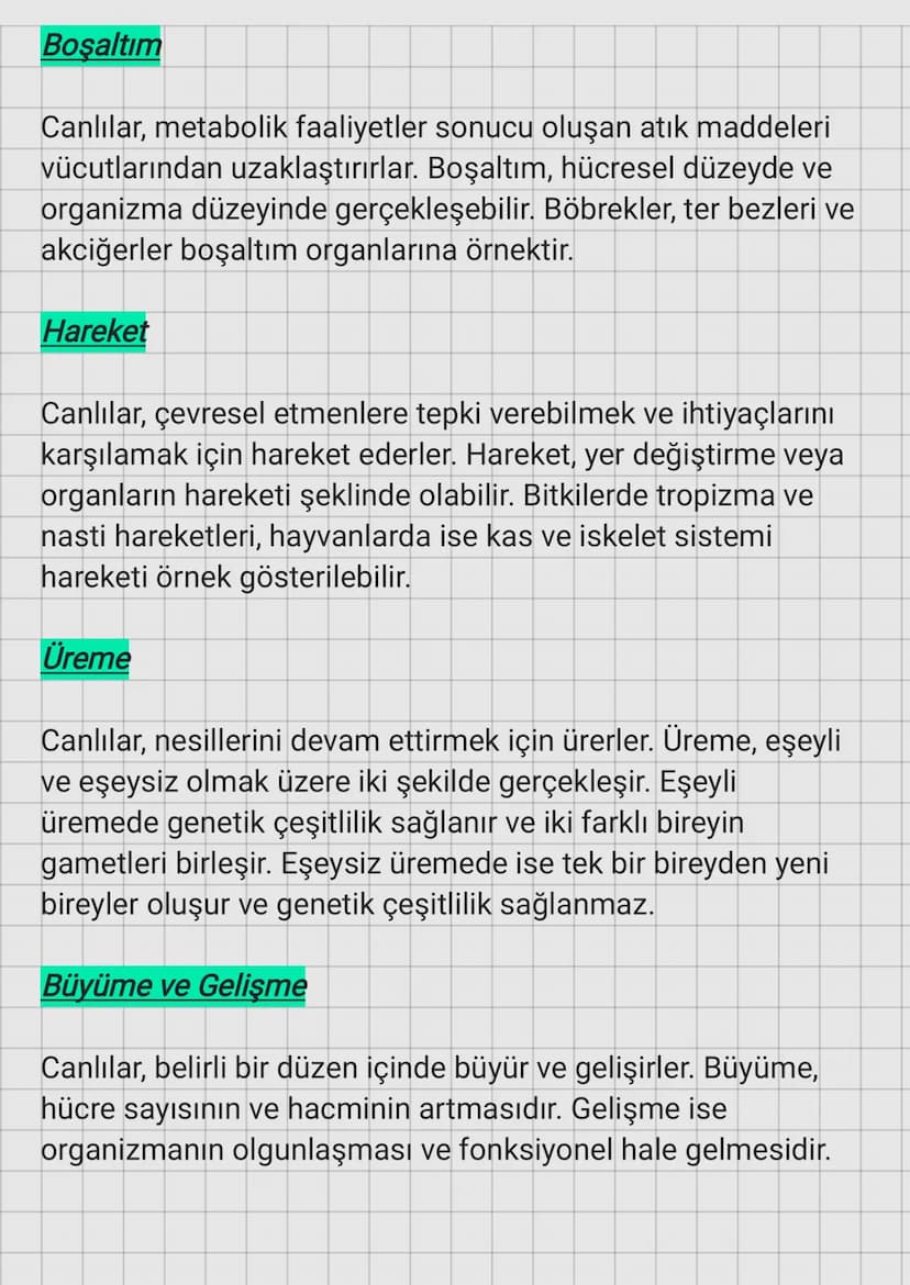 Hücresel Yapı
Canlıların Ortak Özellikleri
Canlılar, en küçük yapı birimi olan hücrelerden oluşur.
Hücreler, prokaryot ve ökaryot olmak üzer