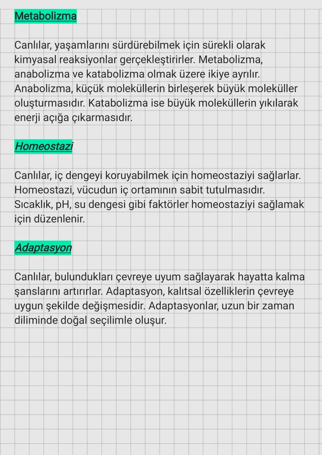 Hücresel Yapı
Canlıların Ortak Özellikleri
Canlılar, en küçük yapı birimi olan hücrelerden oluşur.
Hücreler, prokaryot ve ökaryot olmak üzer