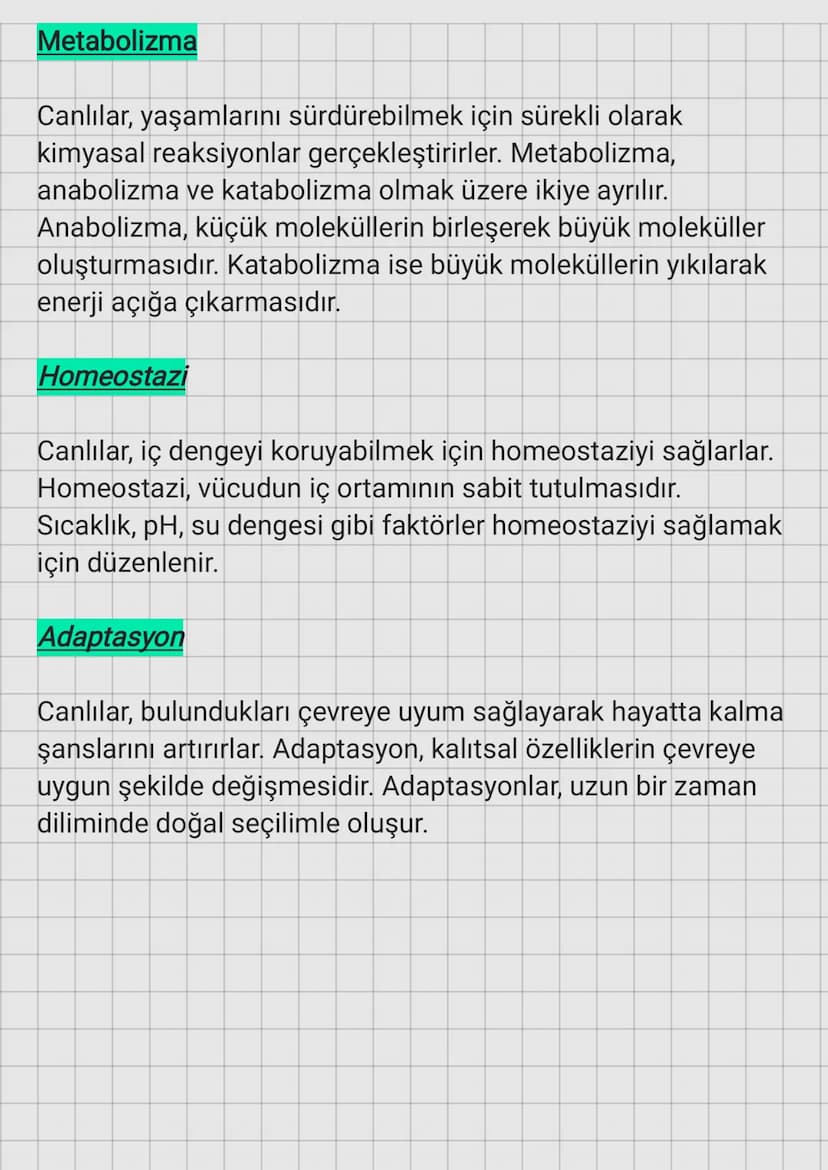 Hücresel Yapı
Canlıların Ortak Özellikleri
Canlılar, en küçük yapı birimi olan hücrelerden oluşur.
Hücreler, prokaryot ve ökaryot olmak üzer