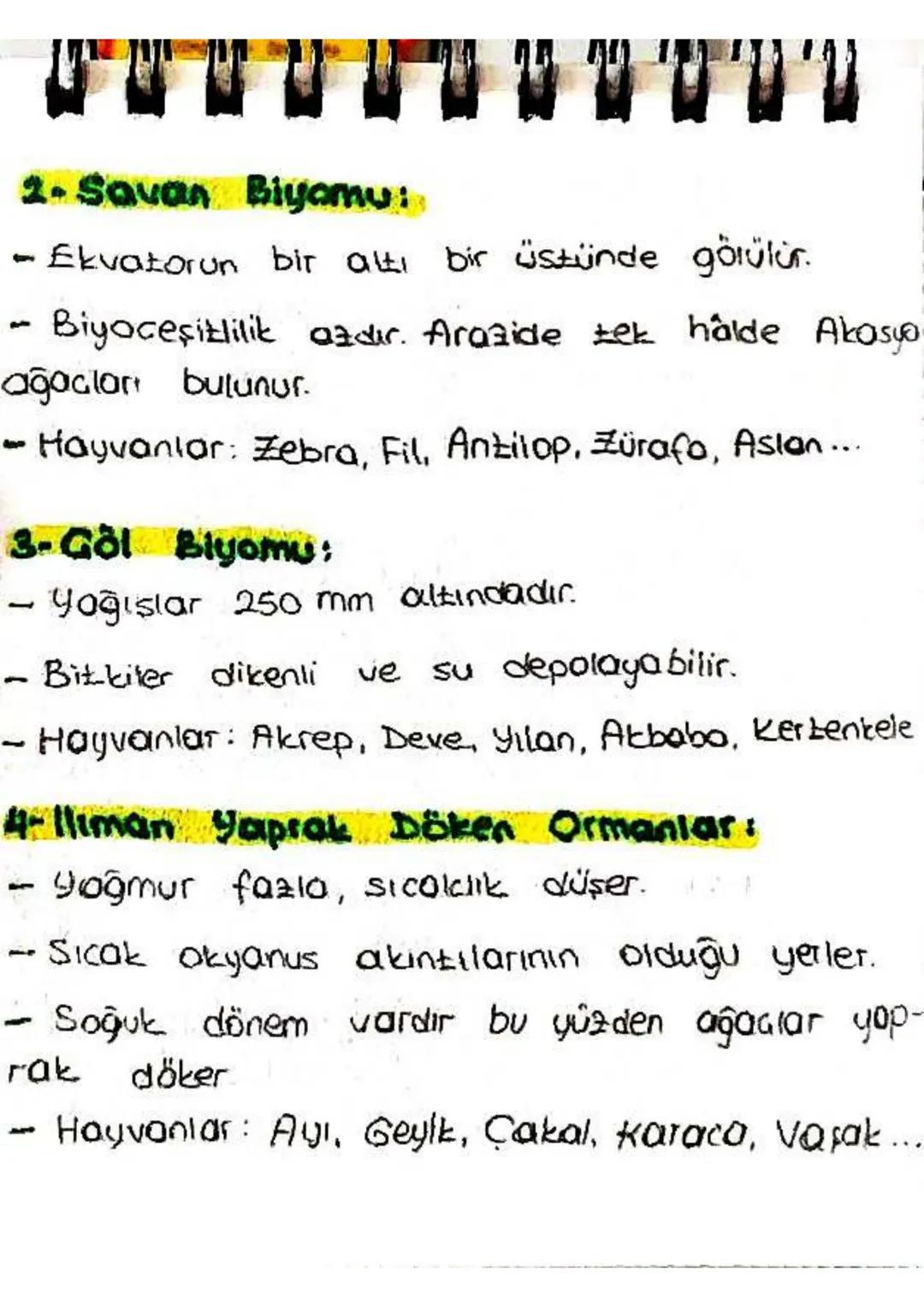 2. Savan Biyomu:
-
-
Ekvatorun bir alti bir üstünde görülür.
Biyoceşitlilik azdır. Arazide tek halde Akasya
ağacları bulunur.
- Hayvanlar: Z